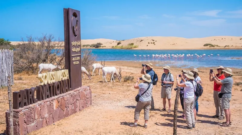 منتزه سوس ماسة