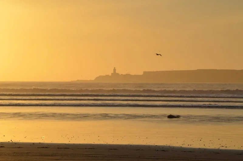 Plage d'Essaouira