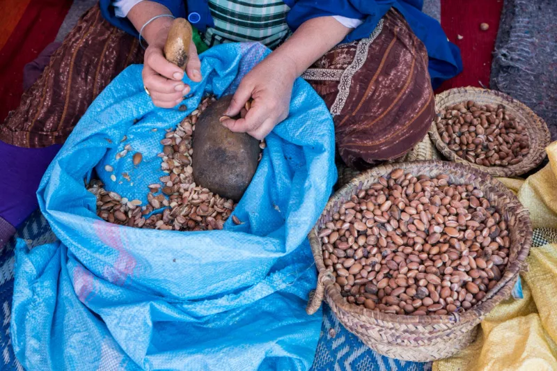 Coopératives d'argan